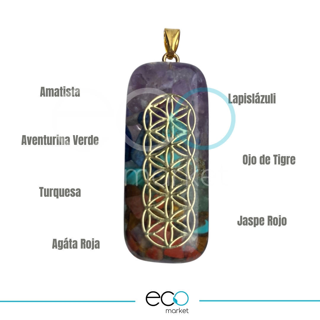 Orgon cuello