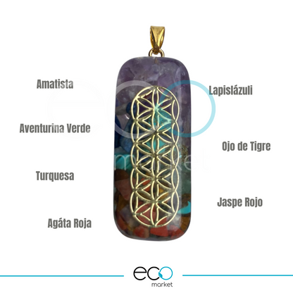 Orgon cuello